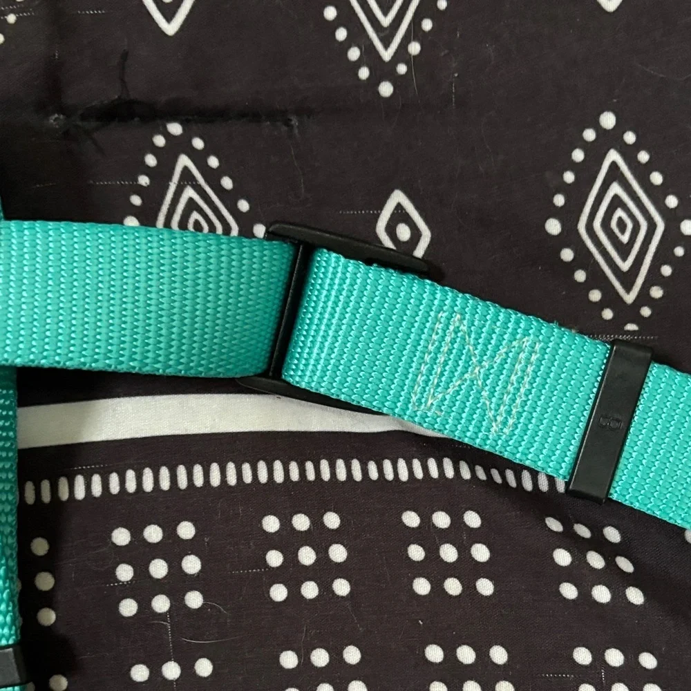 Teal No Pull Dog Harness